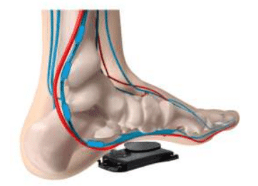 blood circulation
