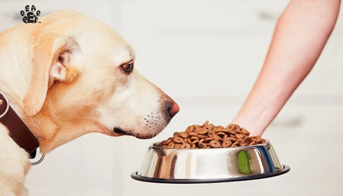 Invalidity Search Report on Pet Food Supplement- US,102,452,93B1