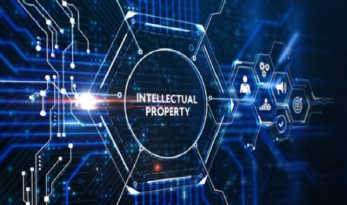 Intellectual Property Rights