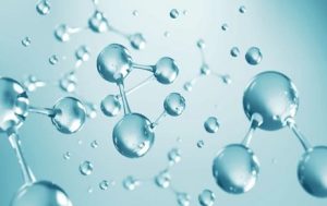 Bio Technology