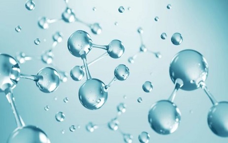 Bio Technology